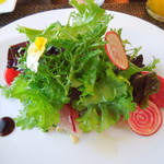 サラマンジェ ド ヨシノ - イナダのマリネ