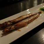 DEN - オイルキャペリン