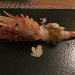 シクラメンテ - 