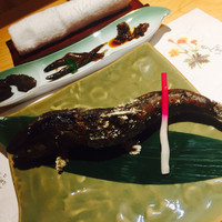 柳家錦 - 
