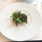 レゾナンス - 春子鯛のマリネと有機野菜サラダ