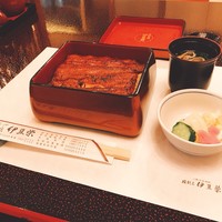 鰻割烹 伊豆栄 本店 - 