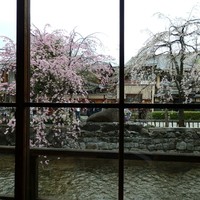 伊藤ダイニング 京都 - 