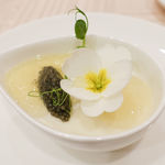 トラットリア ビオラ - 