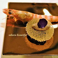 AZUR et MASA UEKI - 