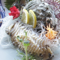 魚庵 千畳敷 - 