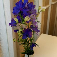レストラン シャルム - お花