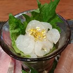 キサラギ - 白海老のお造り！まさに富山湾の宝石！