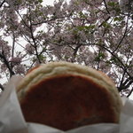 Umi Hoozuki - ⑩貸し切りだったので地べたに座り桜の下で頂きます