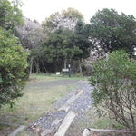 海ほおずき - ⑯広場　この奥が展望台