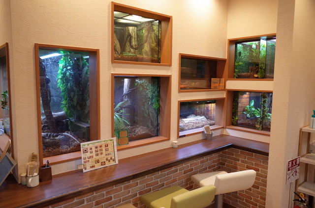 ショップアンドカフェ ジュラのモリ（shop & cafe ジュラの杜） - 中野栄（カフェ）の写真