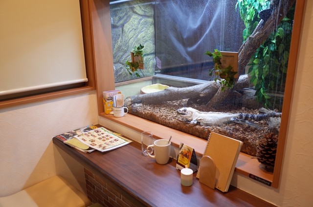 ショップアンドカフェ ジュラのモリ（shop & cafe ジュラの杜） - 中野栄（カフェ）の写真