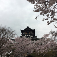 すし処 初音 - 