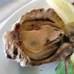 SAKURAGUMI - 前菜の盛合せ　坂越産 焼牡蠣