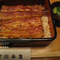 つきじ宮川本廛 - 