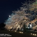 つくばらーめん 鬼者語 - 帰り道に花見