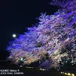 つくばらーめん 鬼者語 - ライトアップ色変化中