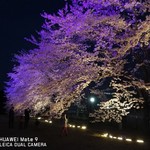 つくばらーめん 鬼者語 - 