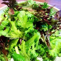 听屋 六本木 - 