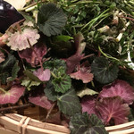 旬菜 おぐら家 - 春山菜