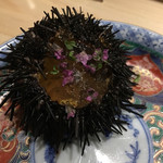 旬菜 おぐら家 - 生うにジュレ