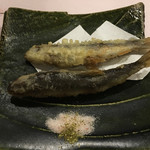 旬菜 おぐら家 - 稚鮎の天ぷら