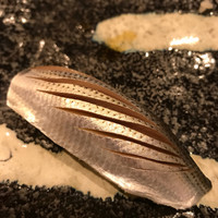 さわ木庵 - 今までで一番