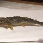 天ぷら 大坂屋 草哲 - 