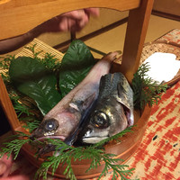魚めし 竹亭 - 