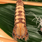 豊寿司 - しゃこ