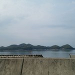 みんなのコーヒー - 大島も桜咲いてますね。