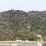 みんなのコーヒー - 東の山にはつつじが咲いてます。