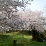 みんなのコーヒー - 垣生山展望台