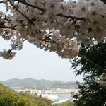 みんなのコーヒー - 垣生山より東の景色