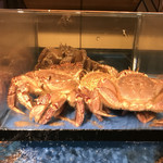 大宮 甲羅本店 - 