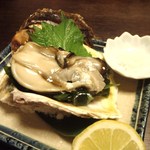 まいもんや かっぱ - 