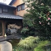 リョウリヤ ステファン パンテル - 