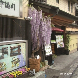 紫藤花为美丽的季节增添色彩的店面