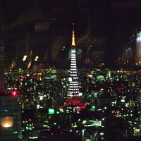 Bar＆Lounge MAJESTIC - 白タワー