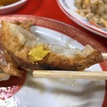 新ちゃん - 辛子付けて食べますねん！