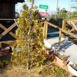 ピッコロ - お店の入り口