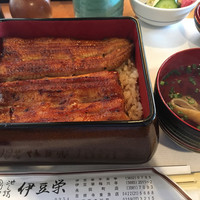 鰻割烹 伊豆栄 本店 - 
