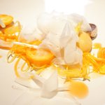 クラフタル - ランチコース 8316円 の金美人参、金柑、西洋タンポポの葉、オレンジムースの冷凍スミイカのスライス散らし