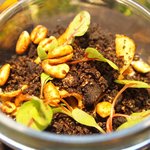 クラフタル - ランチコース 8316円 のフォアグラ、鴨の砂肝、菊芋のピュレ、バニラのエスプーマ 森と土に見立てたグラス仕立て