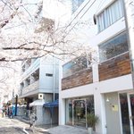 クラフタル - 目前の五分咲きの美しい桜です