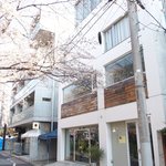 クラフタル - 目前の五分咲きの美しい桜です