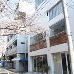 クラフタル - 目前の五分咲きの美しい桜です