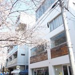 クラフタル - 目前の五分咲きの美しい桜です