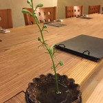 さかもと屋市兵衛 - 生花