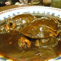 茶禅華 - 